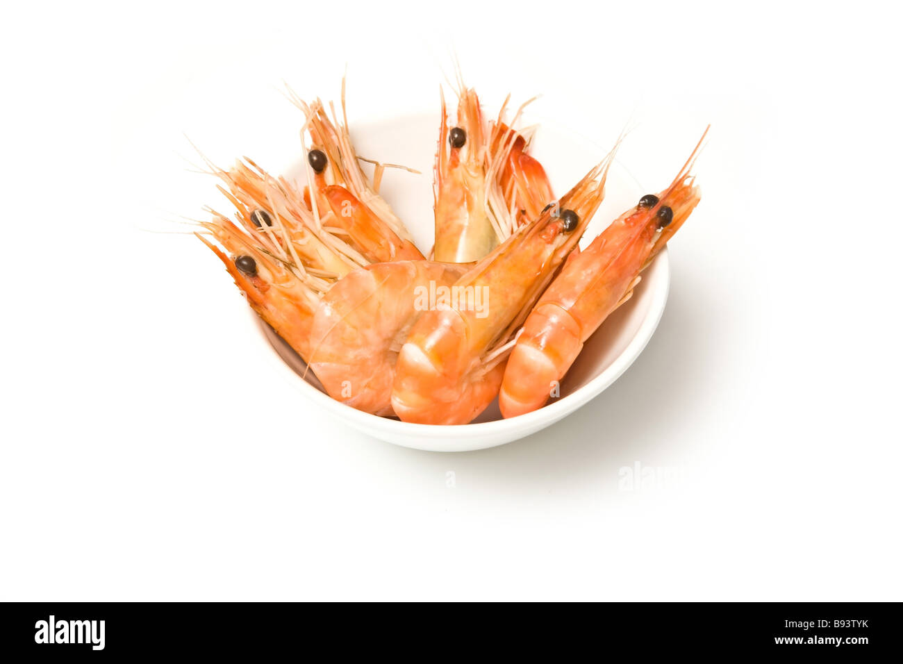 Crevettes High Resolution Stock Photography And Images Alamy