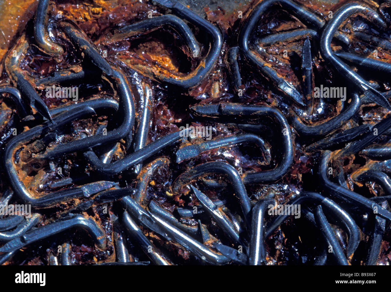 corrosion on metal fasteners Stock Photo