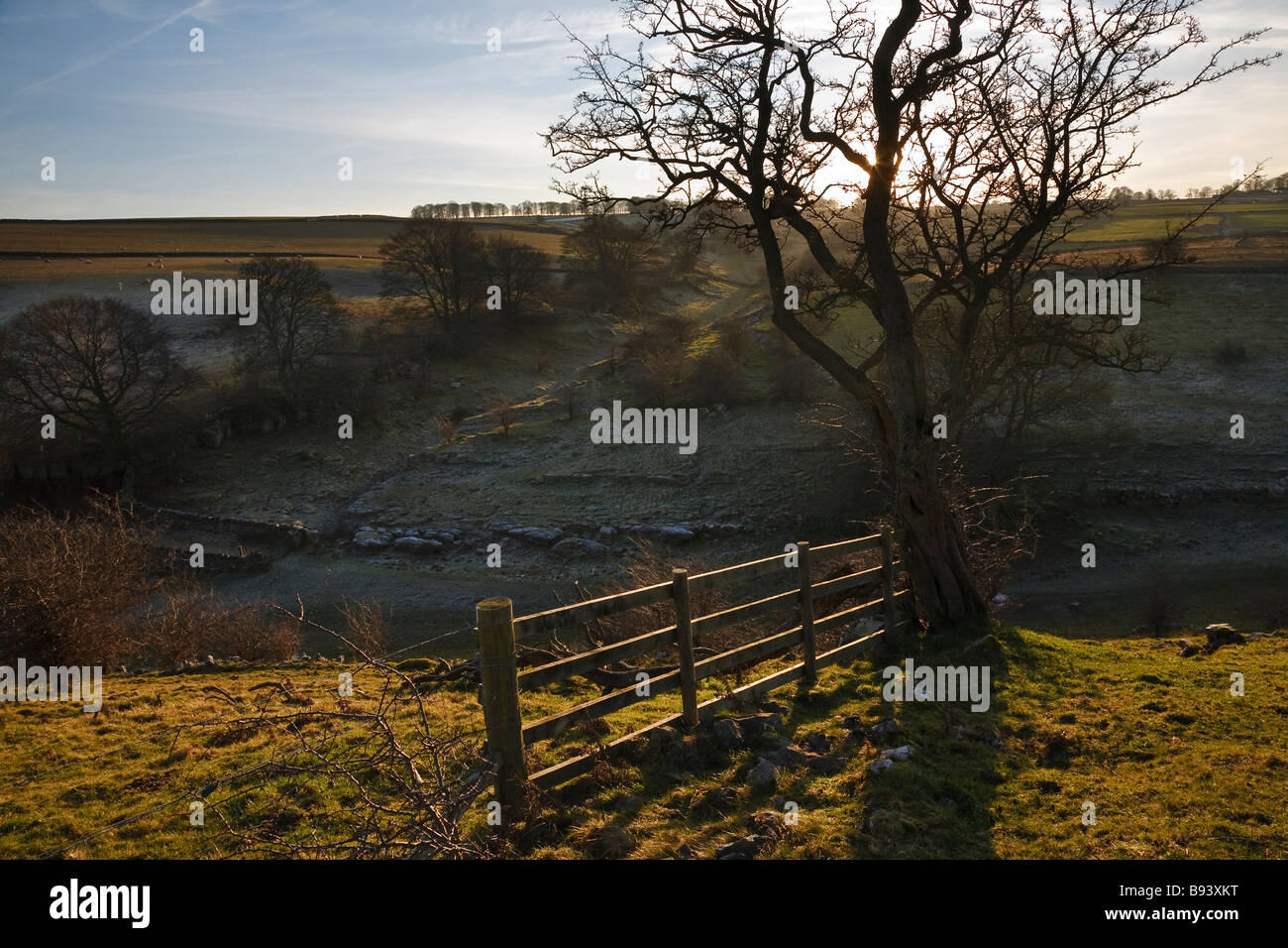 View across Lathkill Dale to Fern Dale Peak District National Park Derbyshire England UK Stock Photo