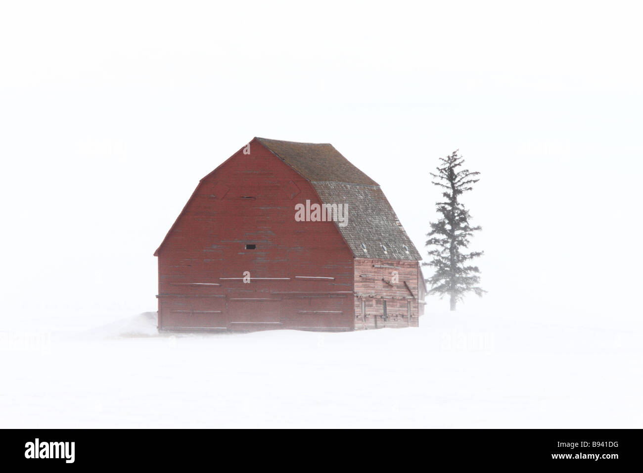 Old Barn in Winter Saskatchewan Stock Photo