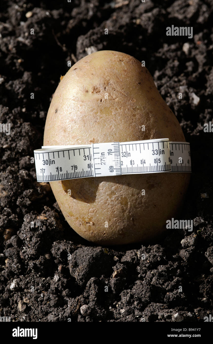 Potato with a tape measure sitting on earth Stock Photo - Alamy