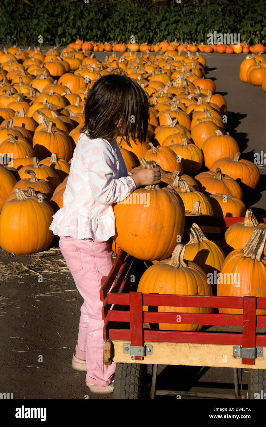 Young girl lifts a pumpkin into a wagon Stock Photo