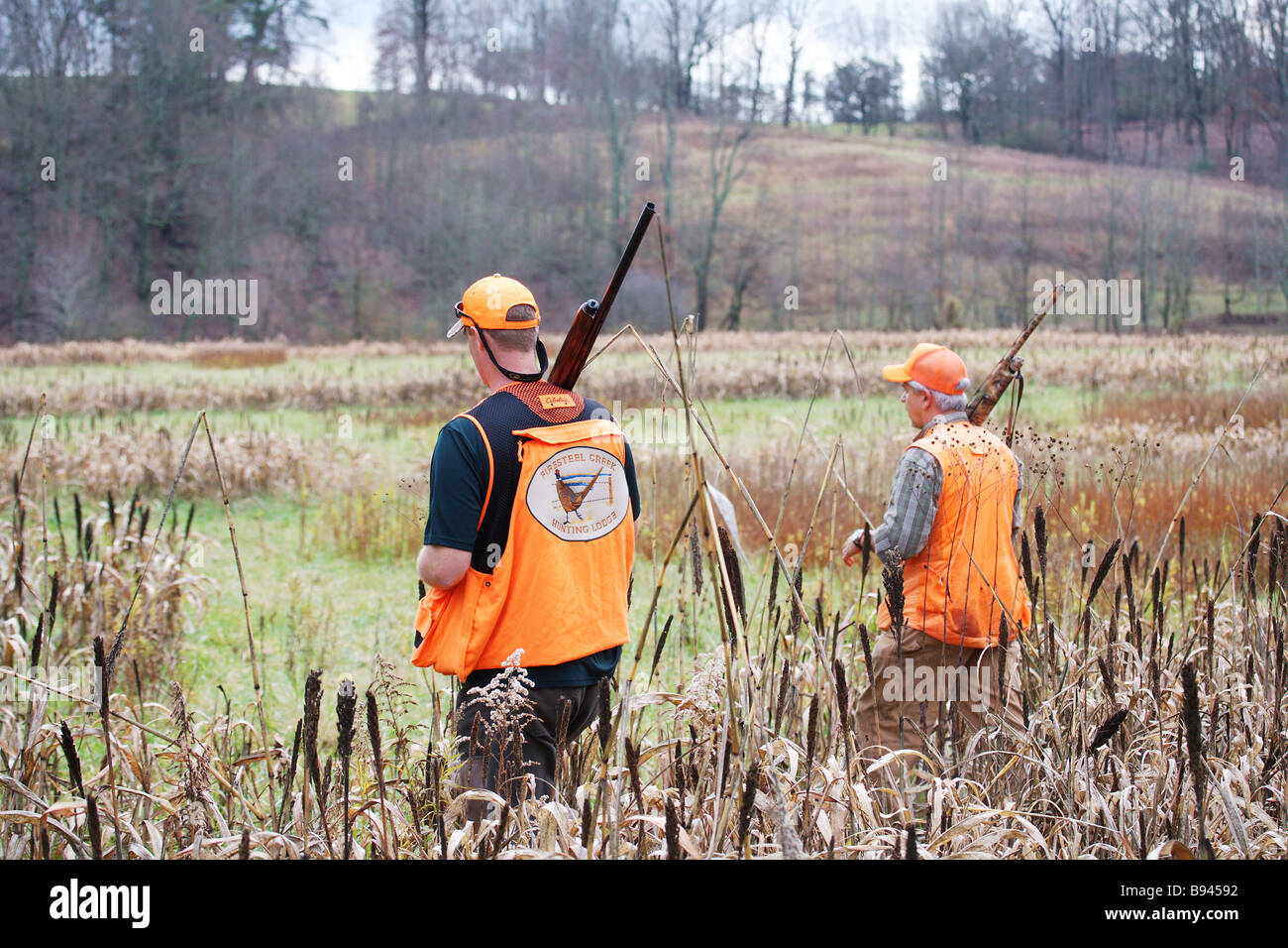 OVER THE SHOULDER VIEW TWO UPLAND BIRD HUNTERS WALKING FIELD HOLDING GUNS ON SHOULDERS GEORGIA Stock Photo