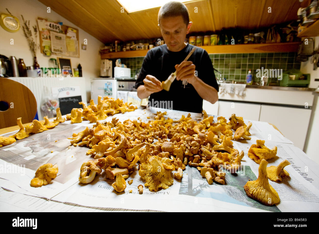 Young man with his chanterelles Stock Photo