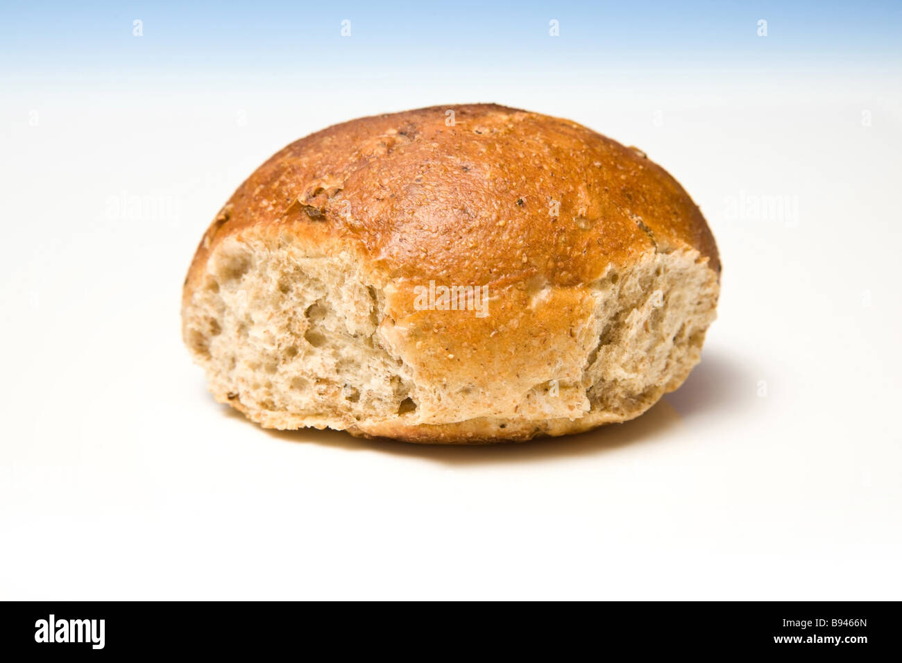 Wholemeal bread roll on a blue graduated studio background Stock Photo