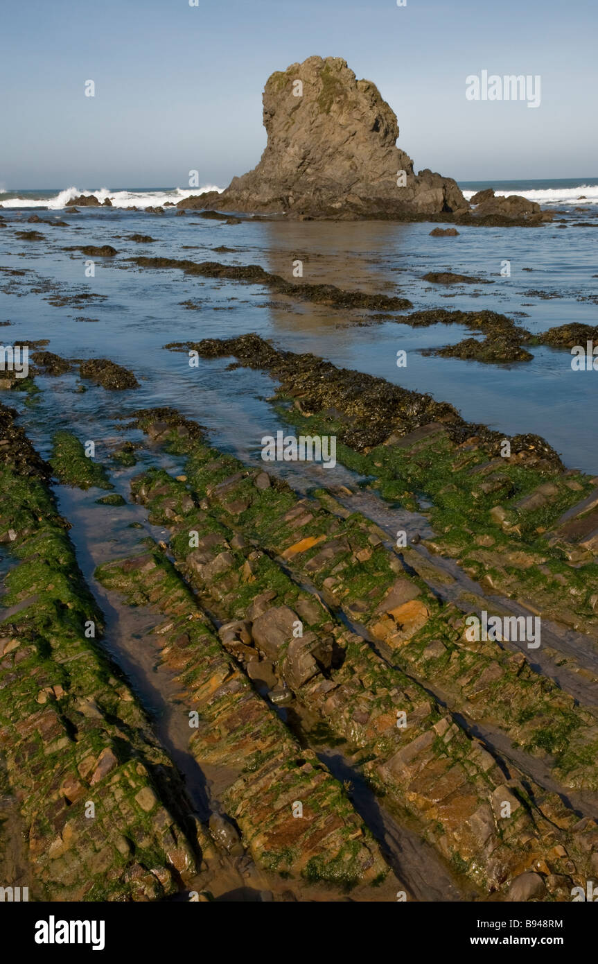 Rocks on the beach in Cornwall Stock Photo - Alamy
