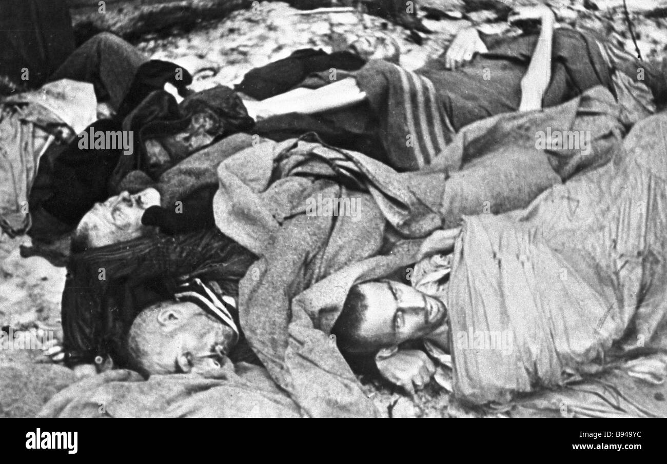 The Bodies Of Auschwitz Prisoners Stock Photo 22837904 Alamy