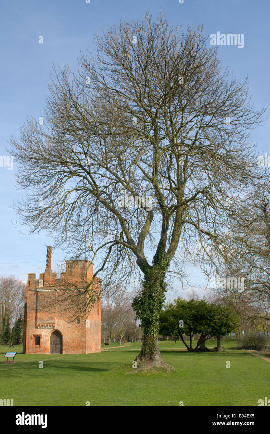 Rye house plot hires stock photography and images Alamy