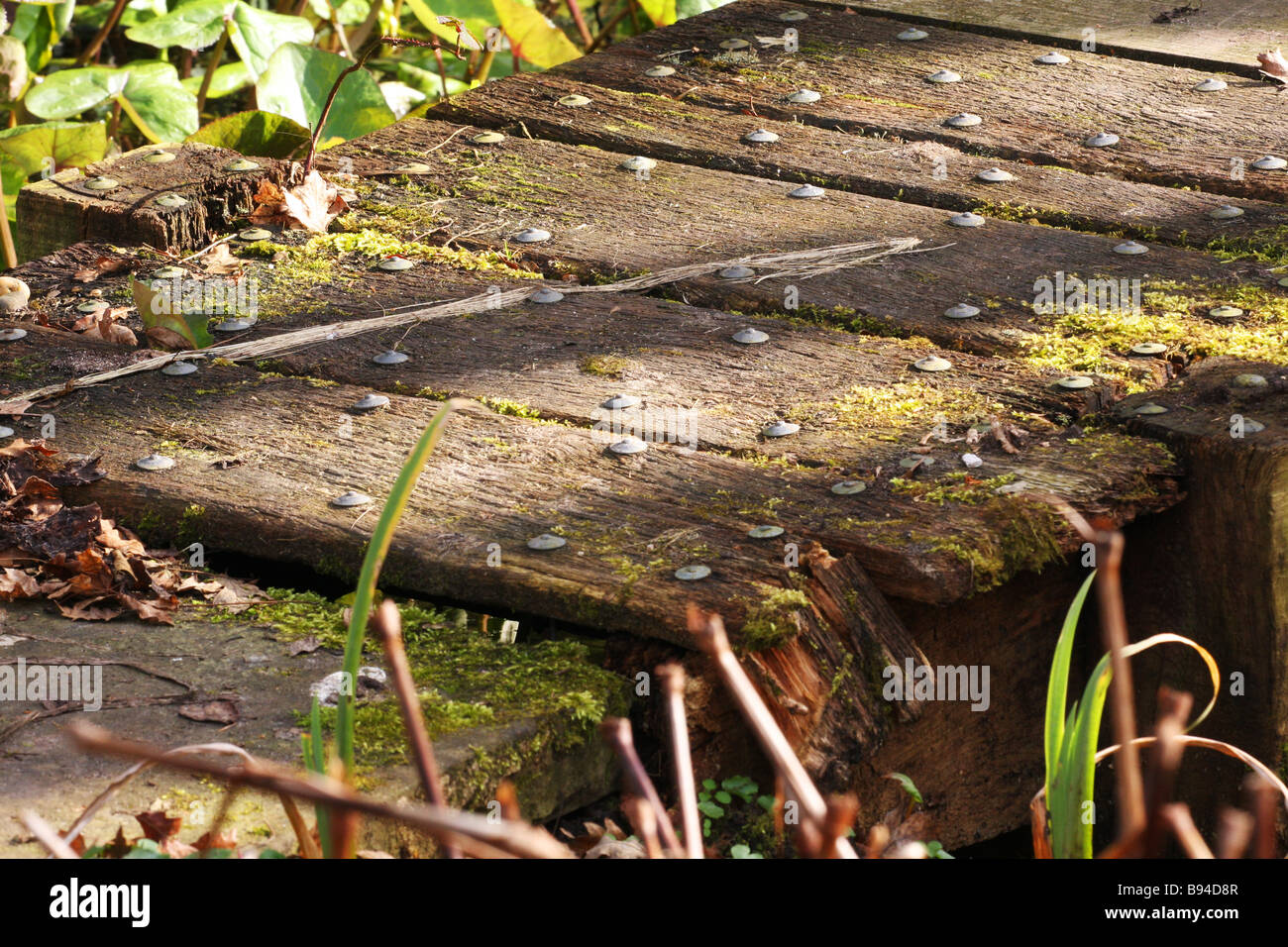 Old wooden foot bridge across a little stream.old planks covered in moss and very slippery, take care when using this route. Stock Photo