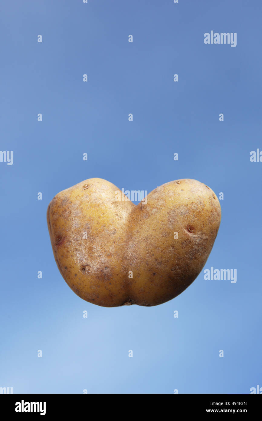 Heartshaped potato. Stock Photo