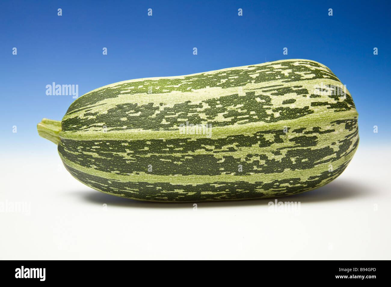 Whole Marrow On A Graduated Blue Studio Background Stock Photo Alamy