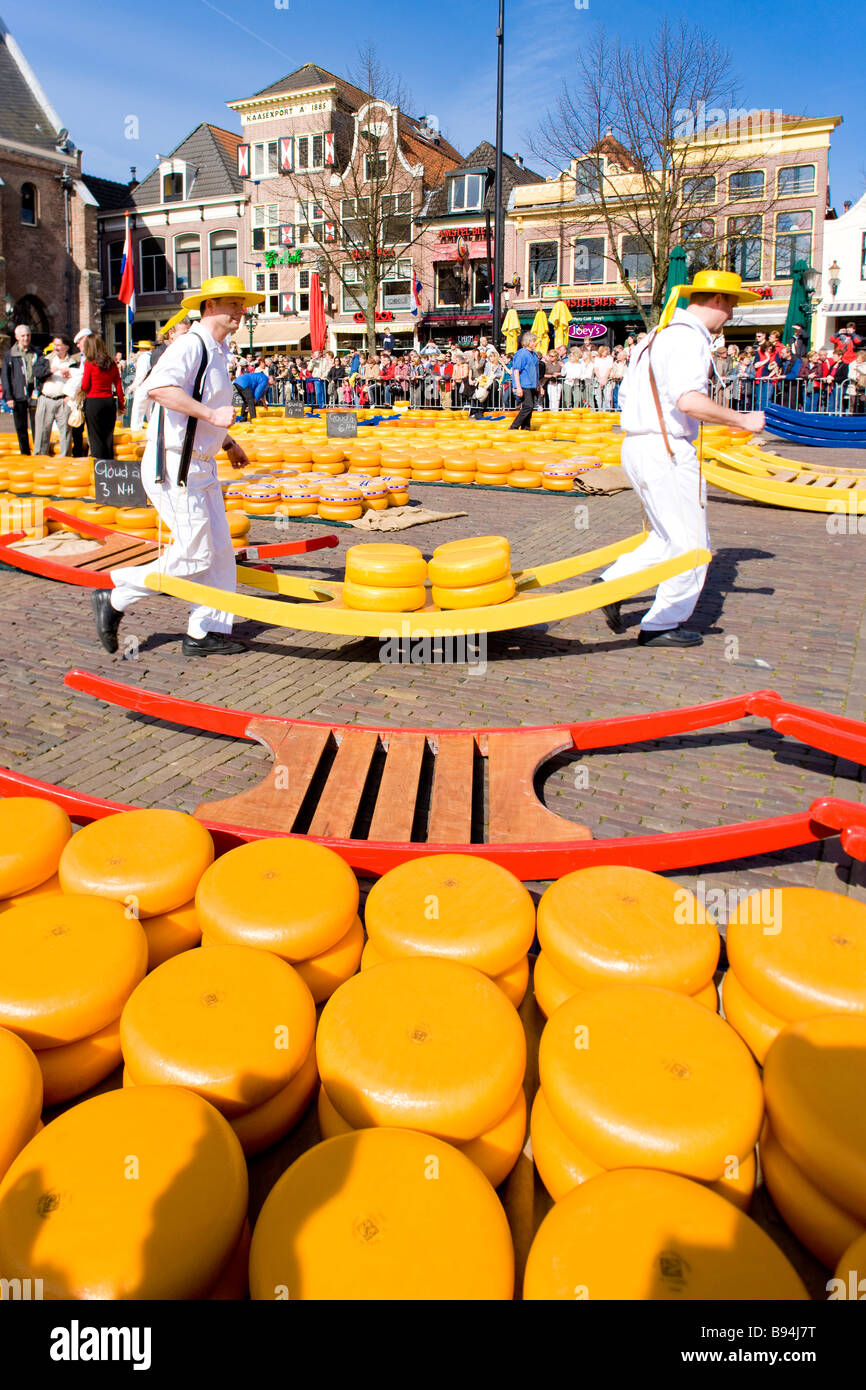 cheese market Alkmaar Netherlands Stock Photo Alamy