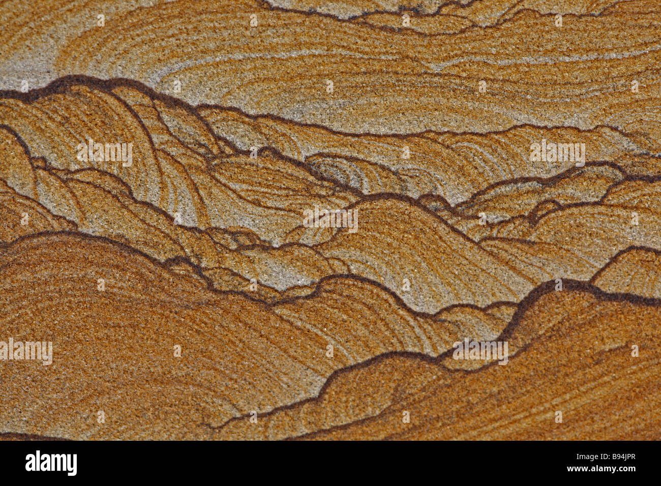 Picture Sandstone Detail Northern Arizona/Utah Natural sandstone