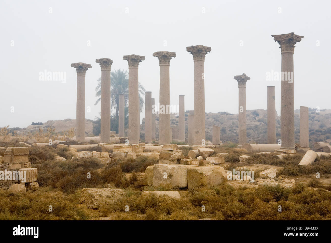 The ruins of Ashmunein, Middle Egypt North Africa Stock Photo
