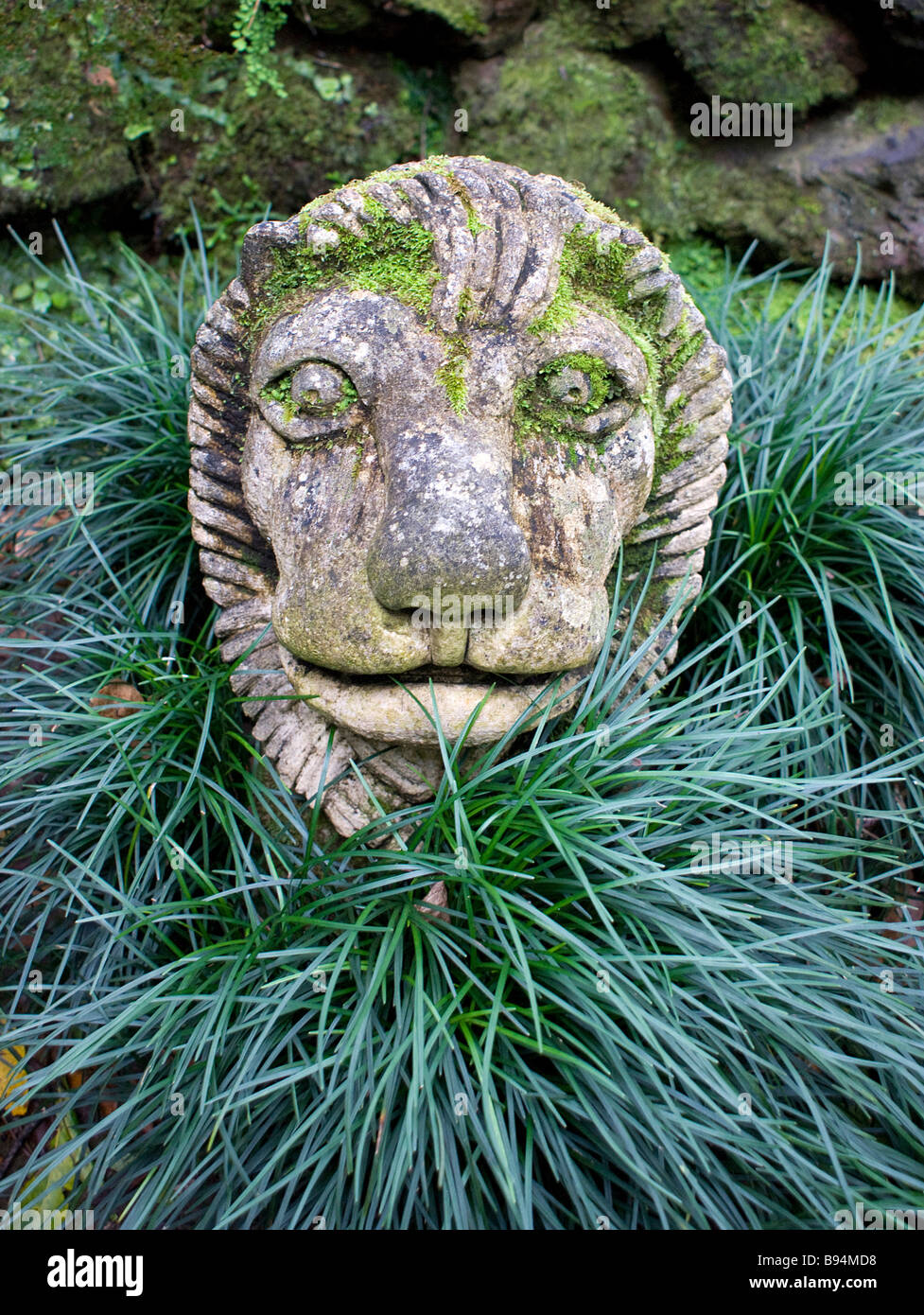 Lions head, stone garden sculpture Stock Photo Alamy