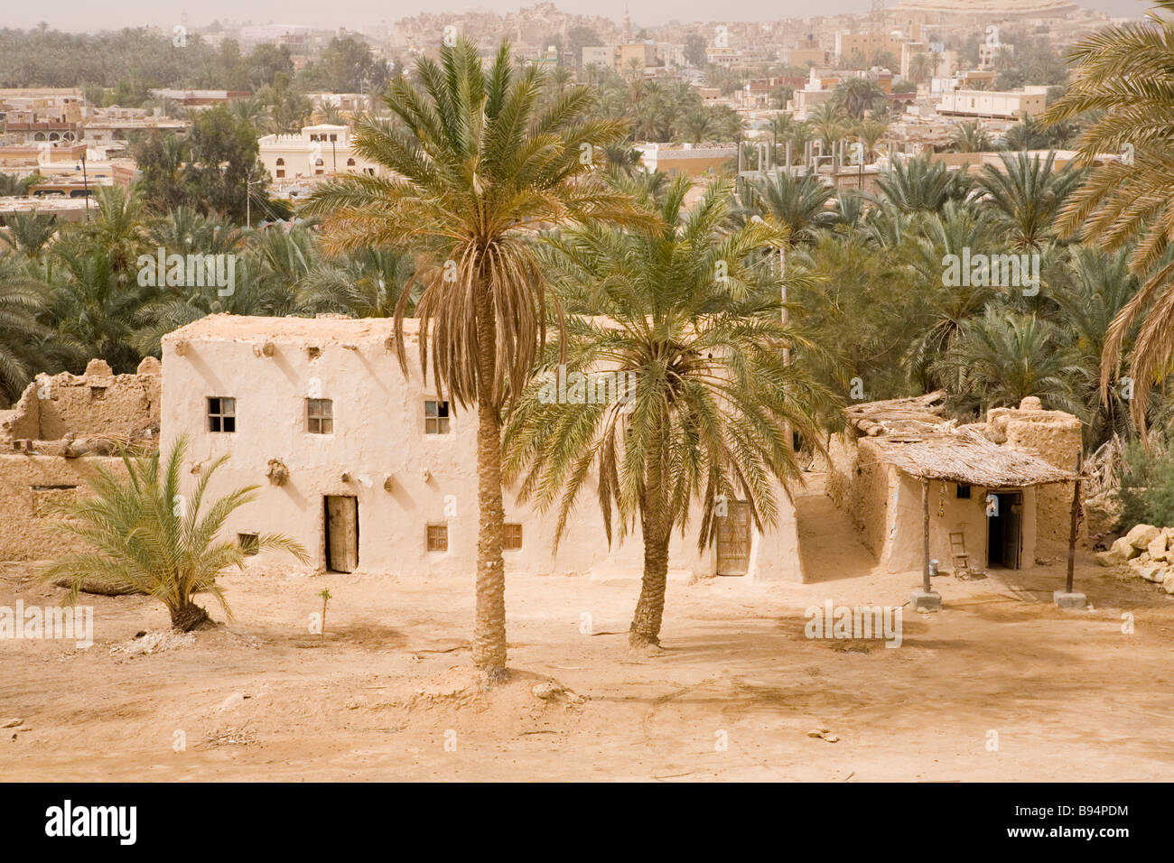 Traditional village house against palms, Siwa Oasis, Egypt, North ...