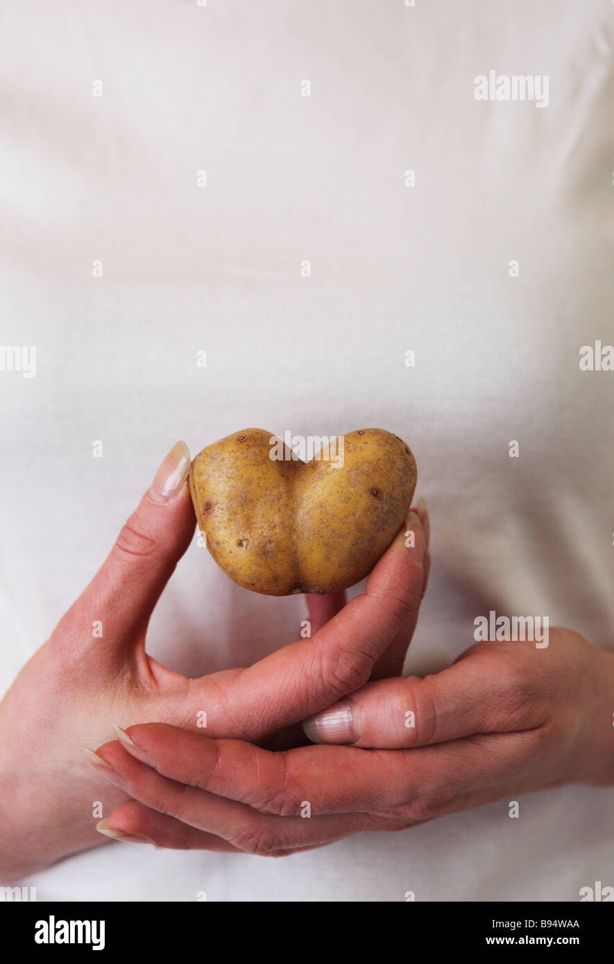 Hands holding a heart-shaped potato. Stock Photo