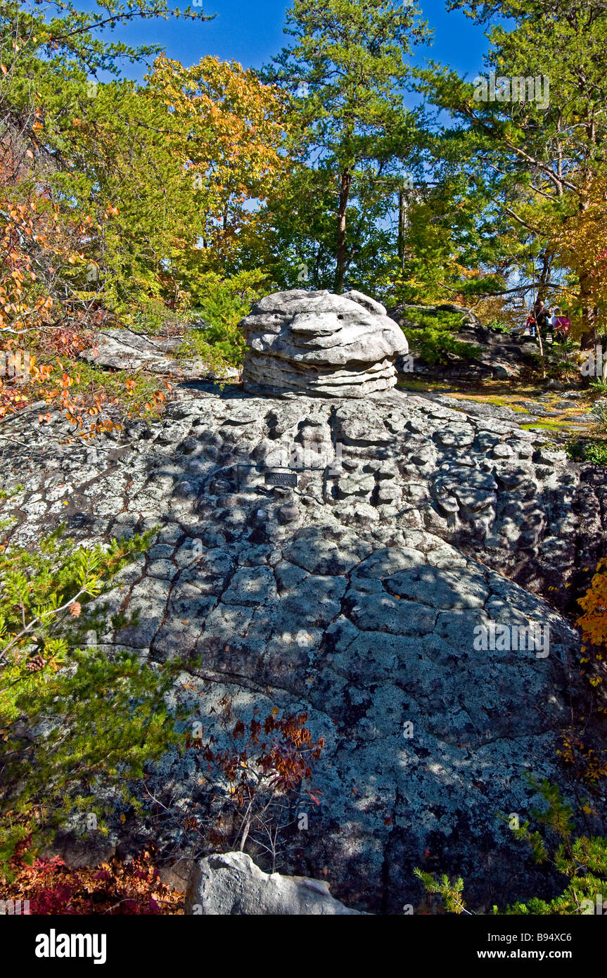Tortoise Shell Rock at Rock City Gardens on Lookout Mountain near Chattanooga TN Stock Photo