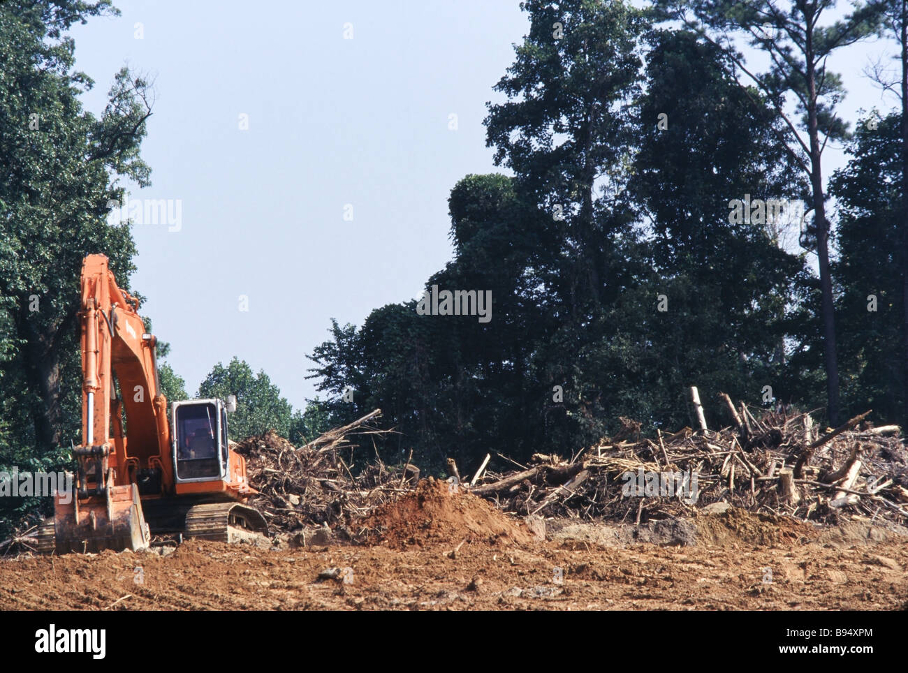 Environmental destruction, logging operations and cut trees, land clearing, development Stock Photo
