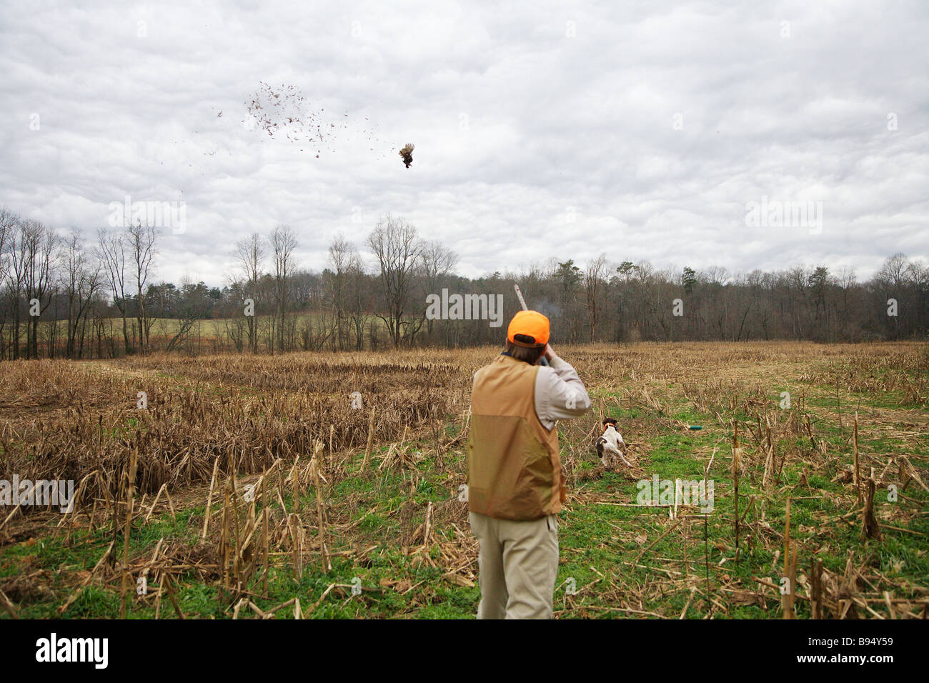 Field and stream hi-res stock photography and images - Page 4 - Alamy