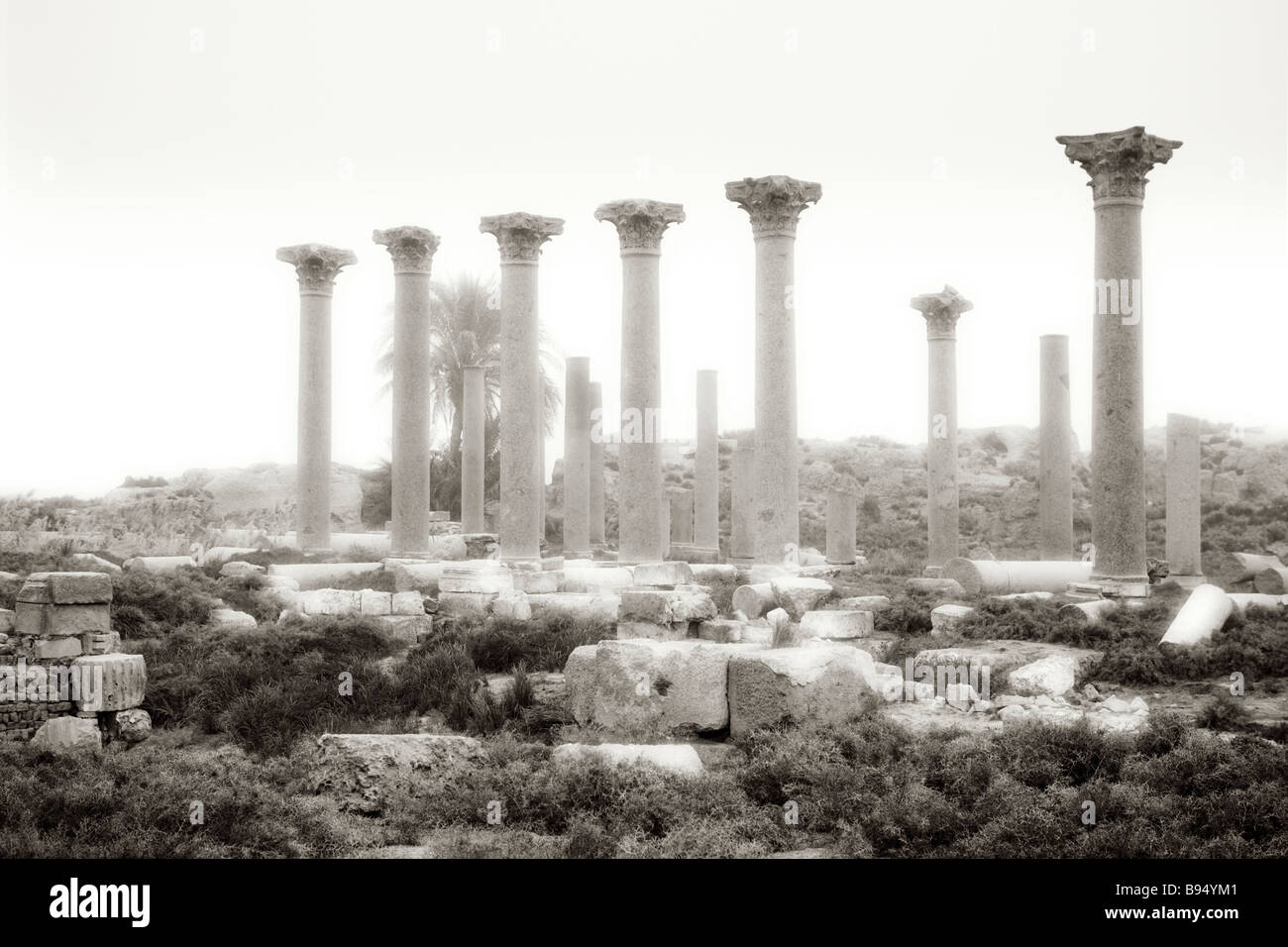 The ruins of Ashmunein, Middle Egypt North Africa Stock Photo