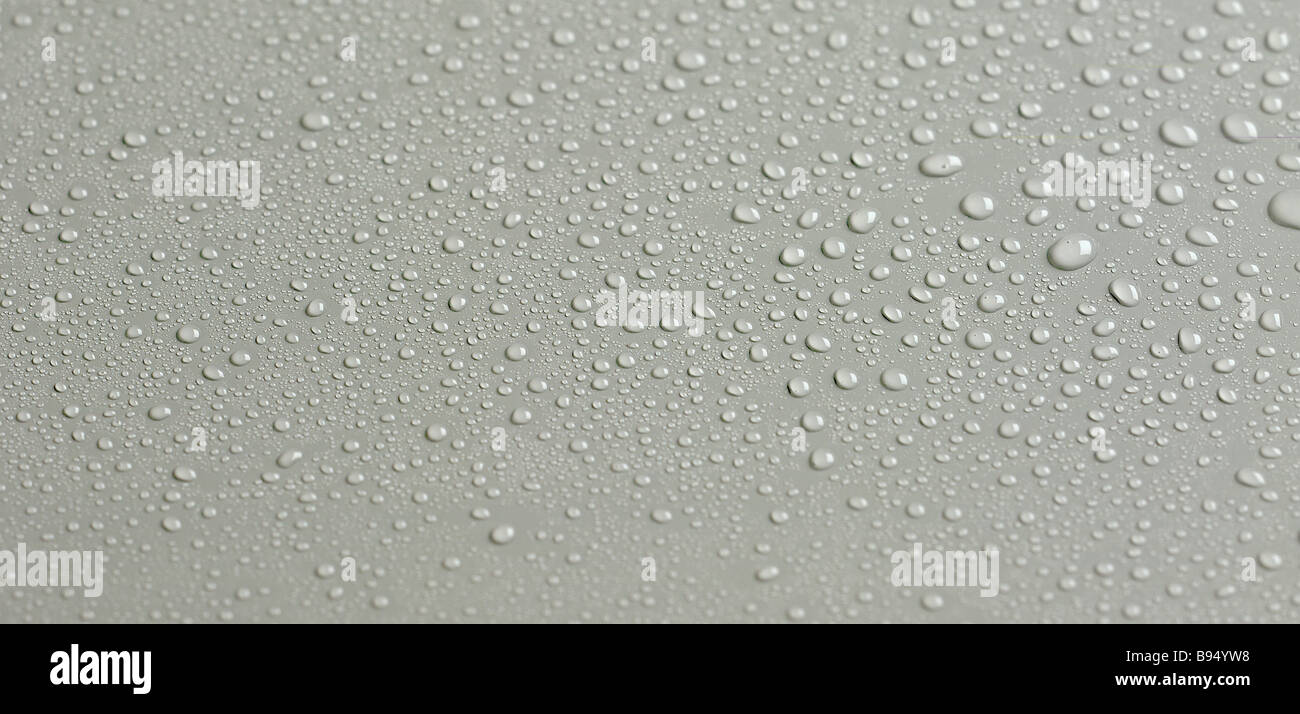 water droplets on surface Stock Photo