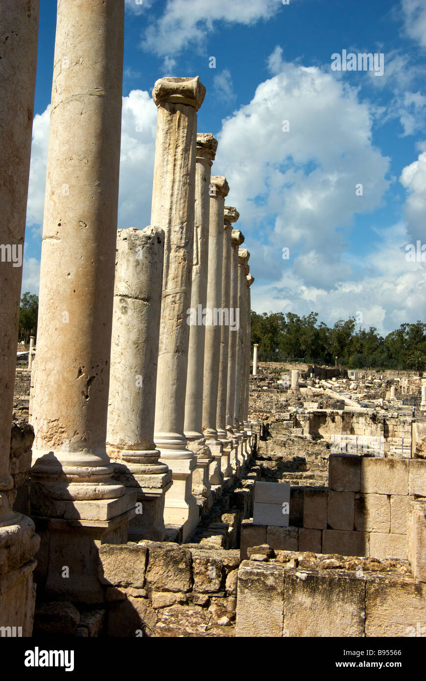 Row of restored marble roof support columns of a great hall along Silvanus Street in ancient Roman city of Scythopolis Stock Photo