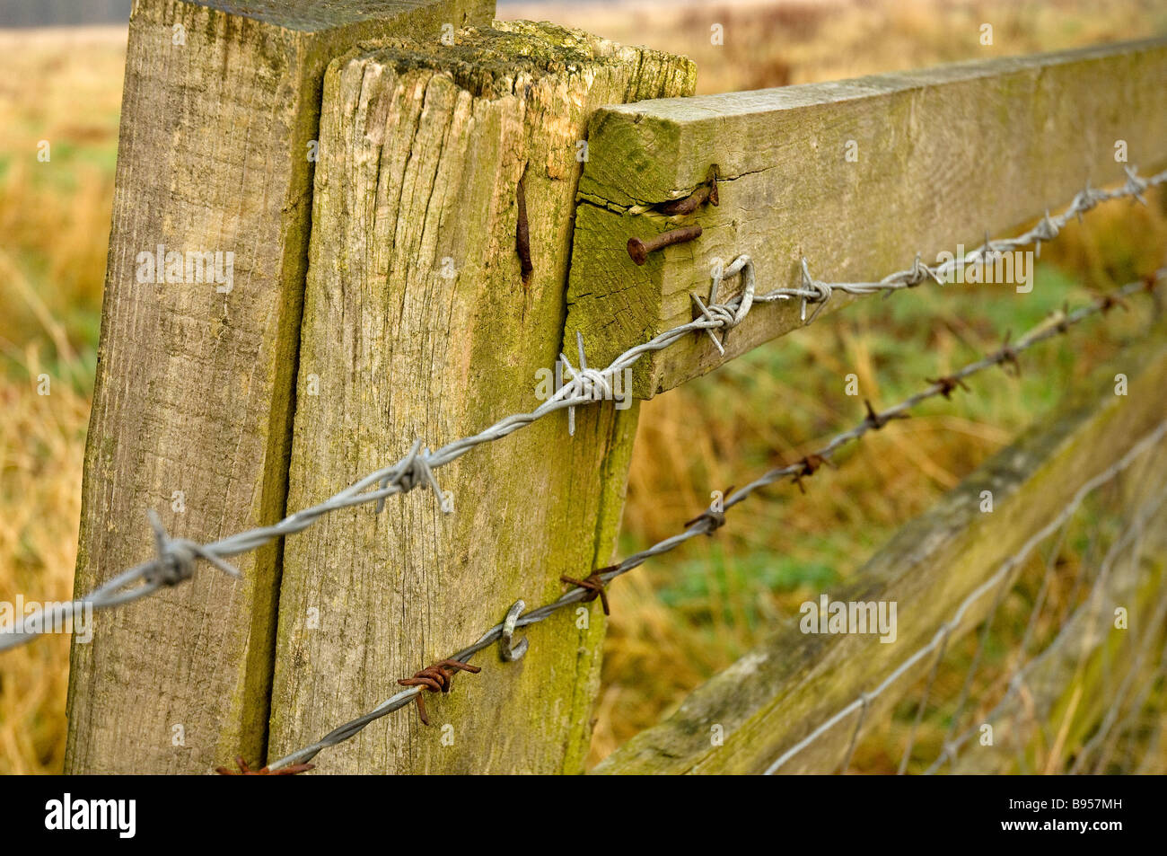 Wooden fence post and barbed wire Close up England UK United Kingdom GB Great Britain Stock Photo