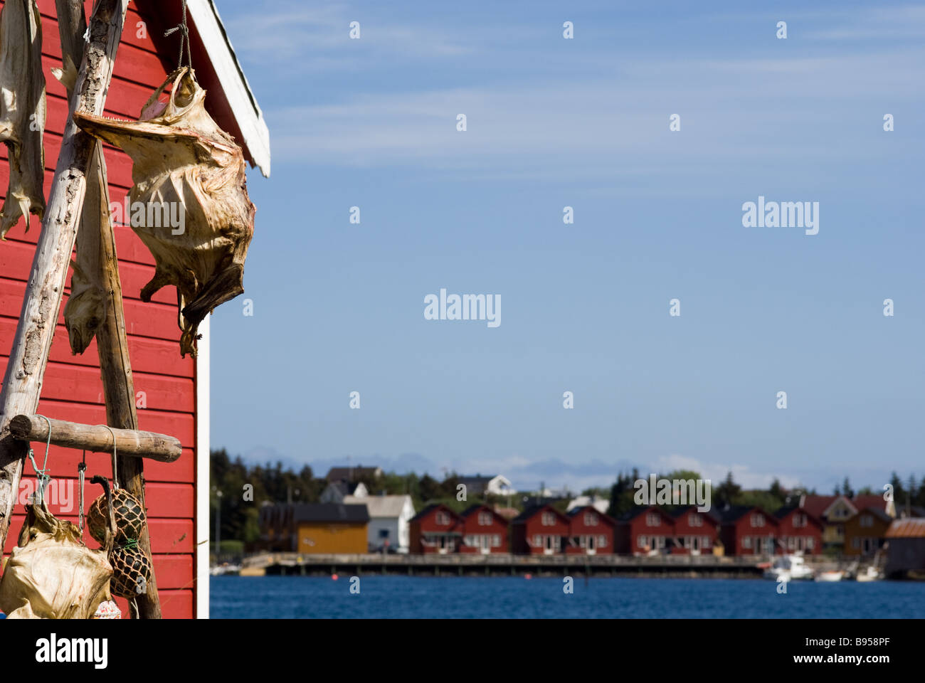 Red house and dry fishes, Ballstad, Vestvågøy, Lofoten, Nordland, Norway, Scandinavia, Europe Stock Photo