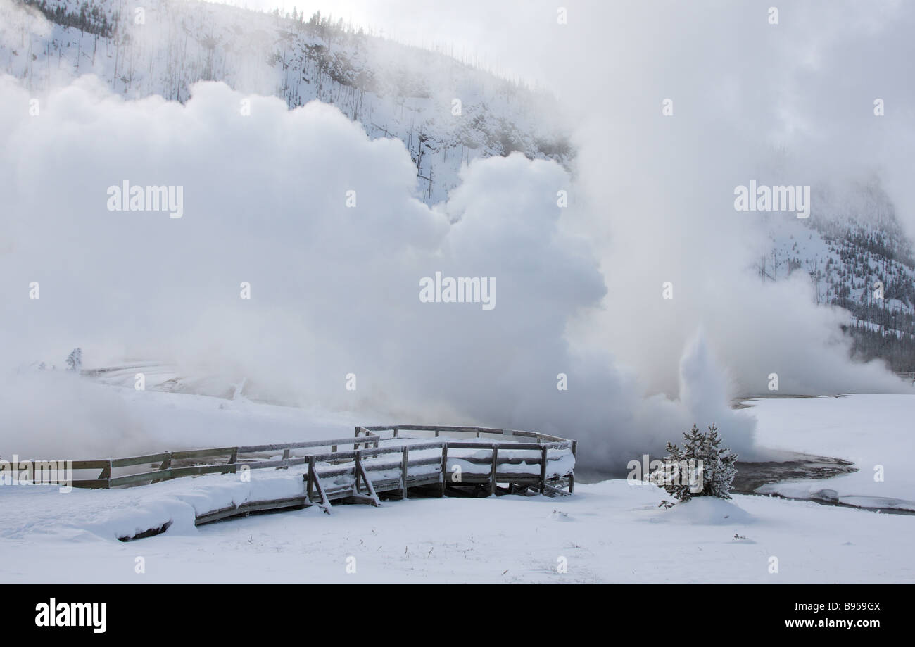 Cliff Geyser erupting on a snowy day, Black Sand Basin, Yellowstone National Park Stock Photo