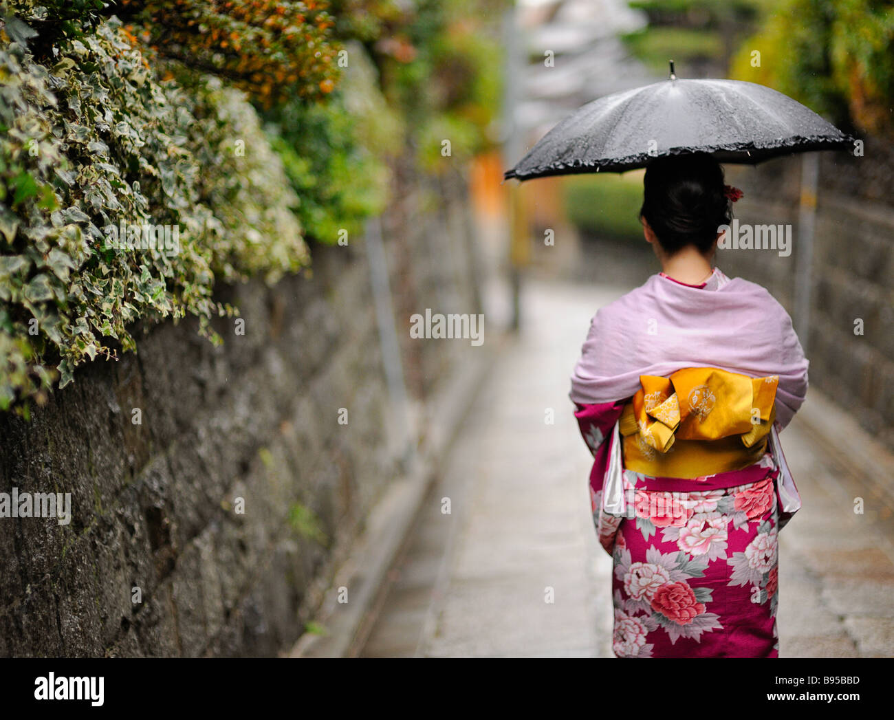 Japanese woman in pink Kimono walking in the rain with a black parasol Stock Photo