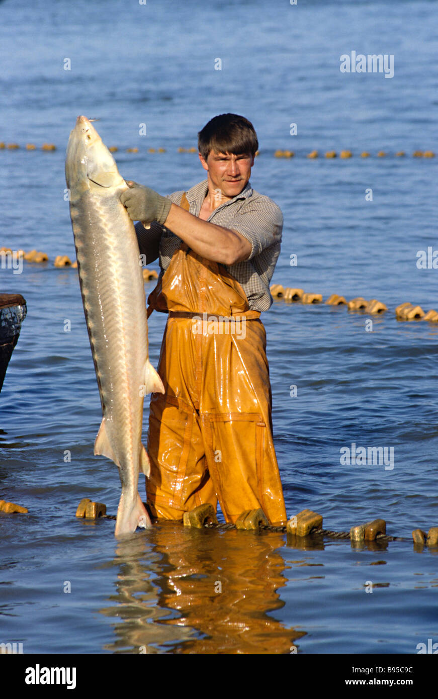 Mans use of the Volga River: navigation, fishing and much more Mans use of the Volga River: navigation, fishing and much more
