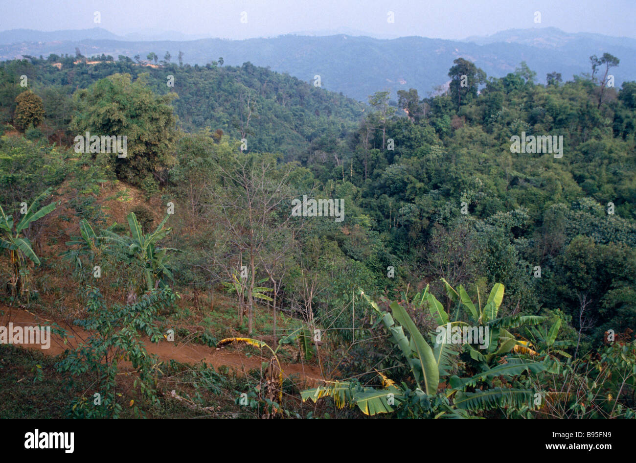 THAILAND Mae Sa Long Area Landscape Hillsides covered with tropical vegetation. Stock Photo