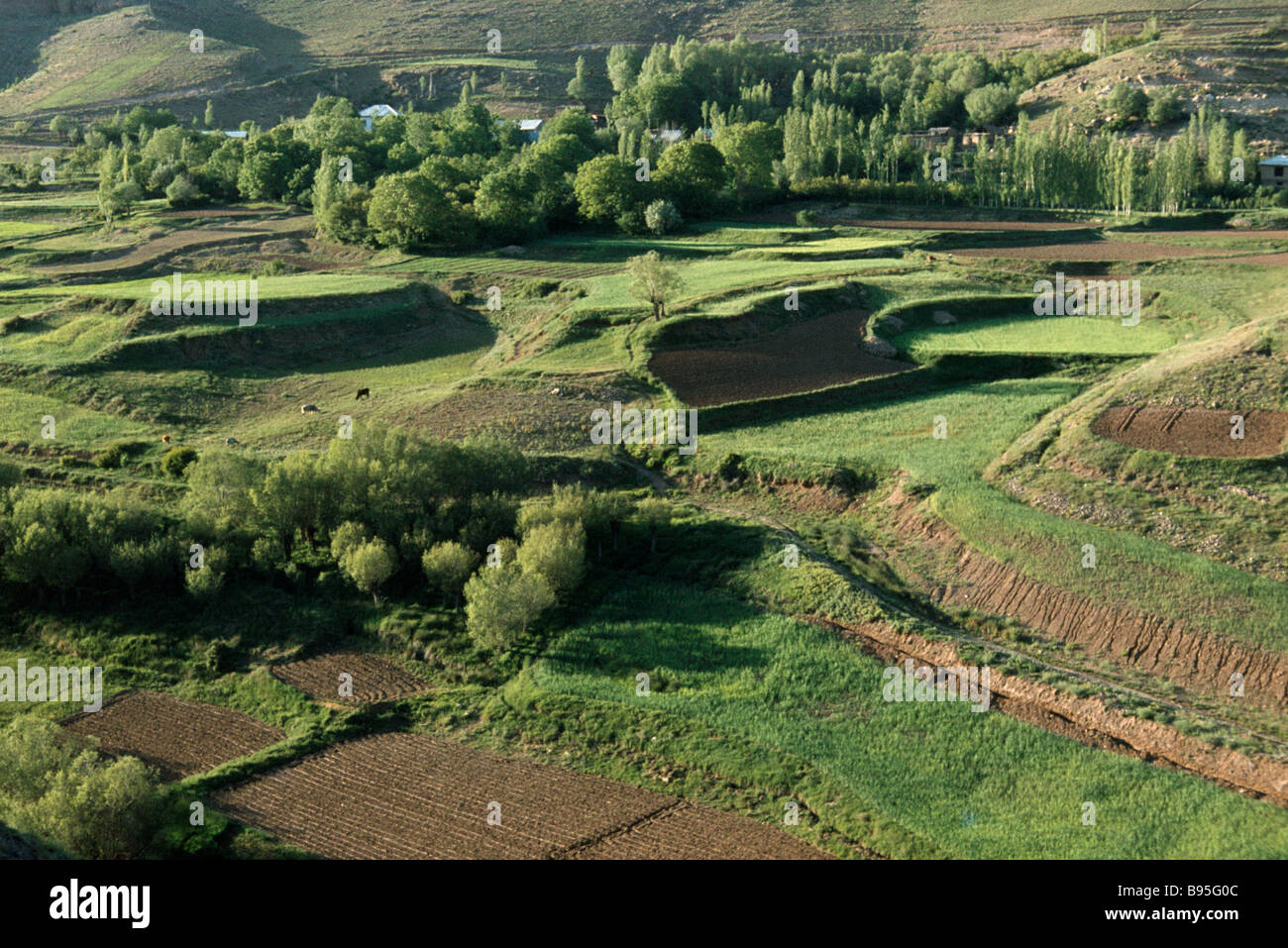 IRAN Middle East Alborz Mountains Farming Agriculture Traditional irrigated terraces Stock Photo