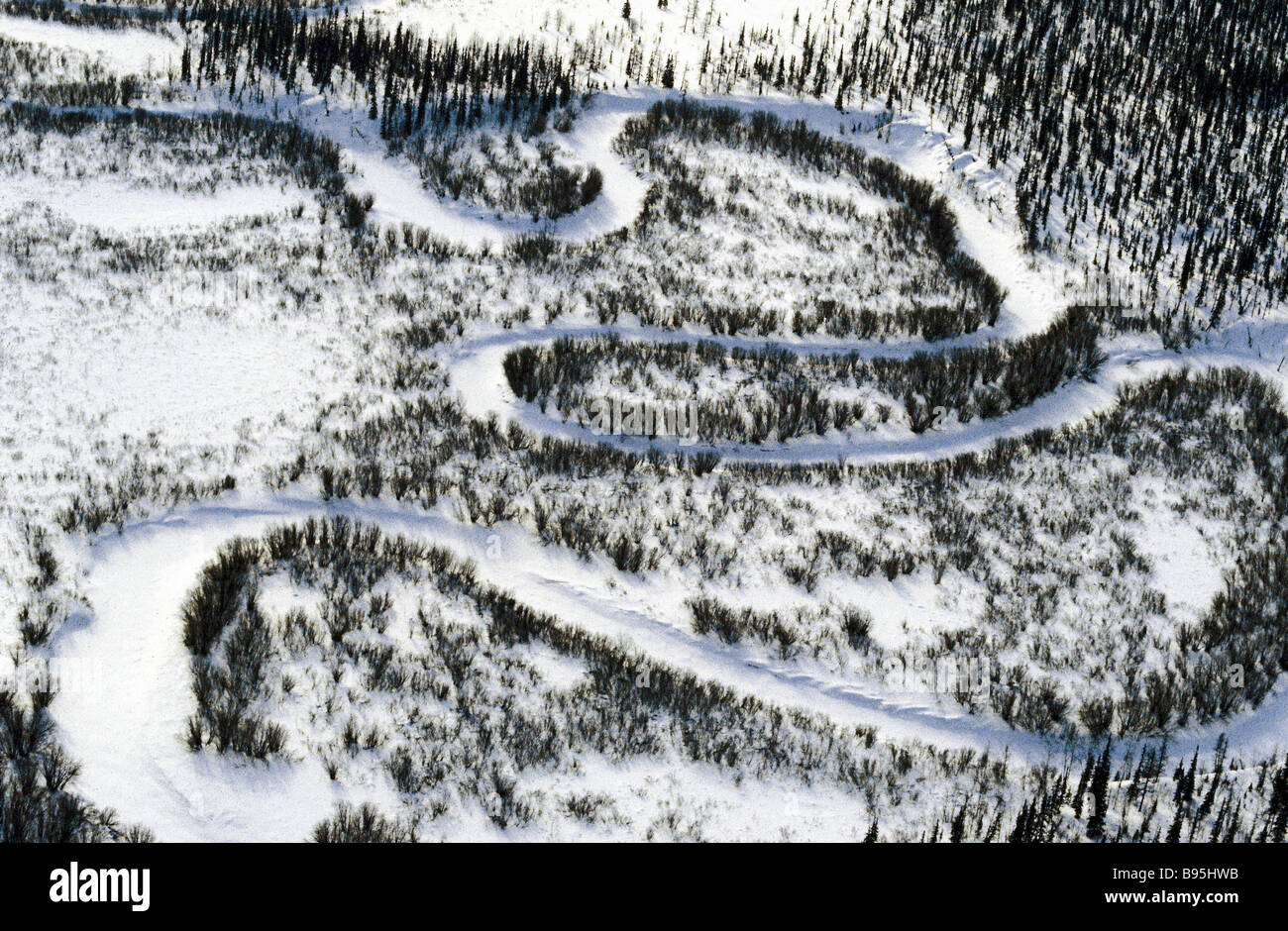 Lamine Yamal visual data 6