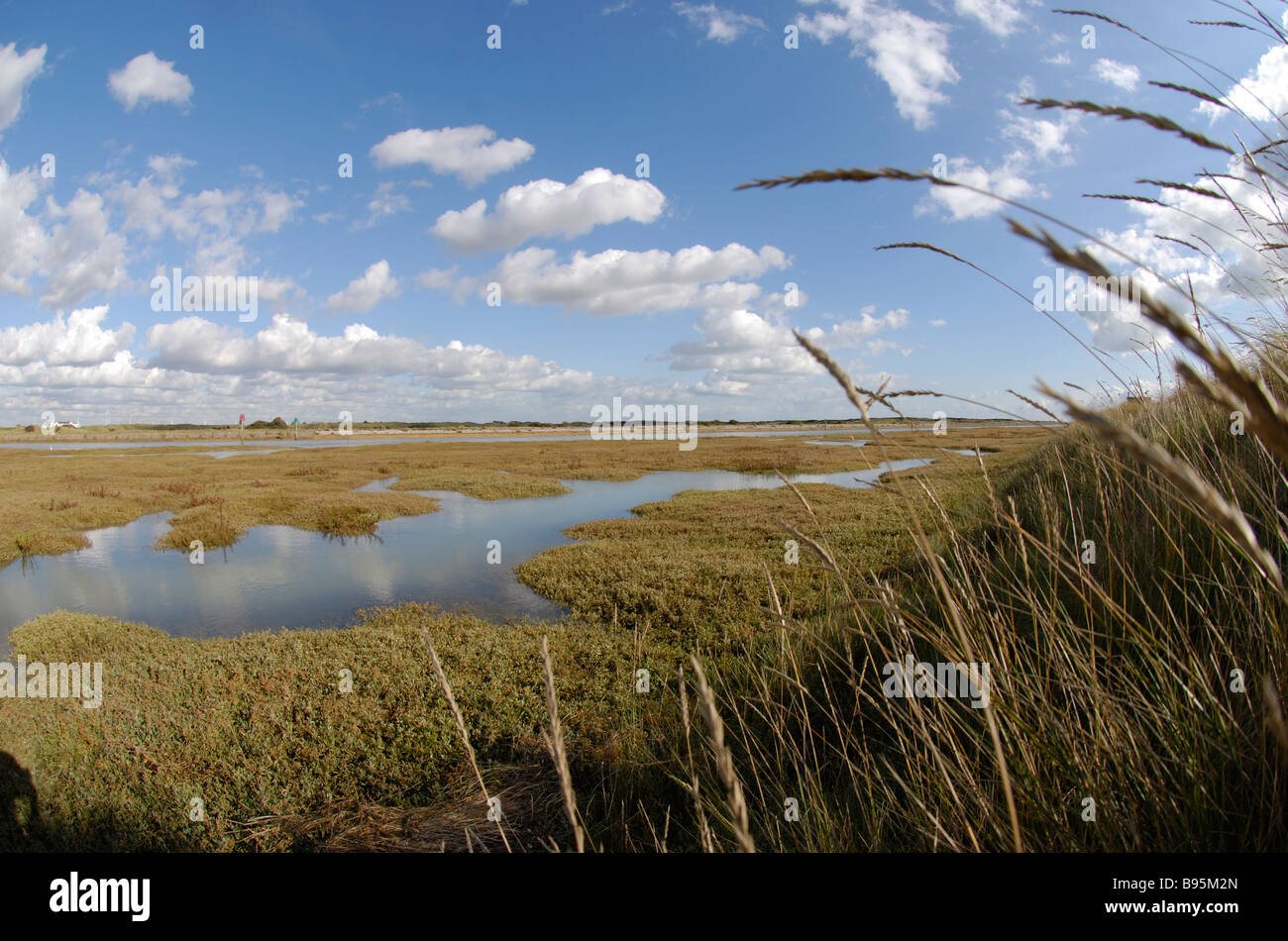 wetlands bordering canal entrance to rye harbour rye nature reserve sussex Stock Photo