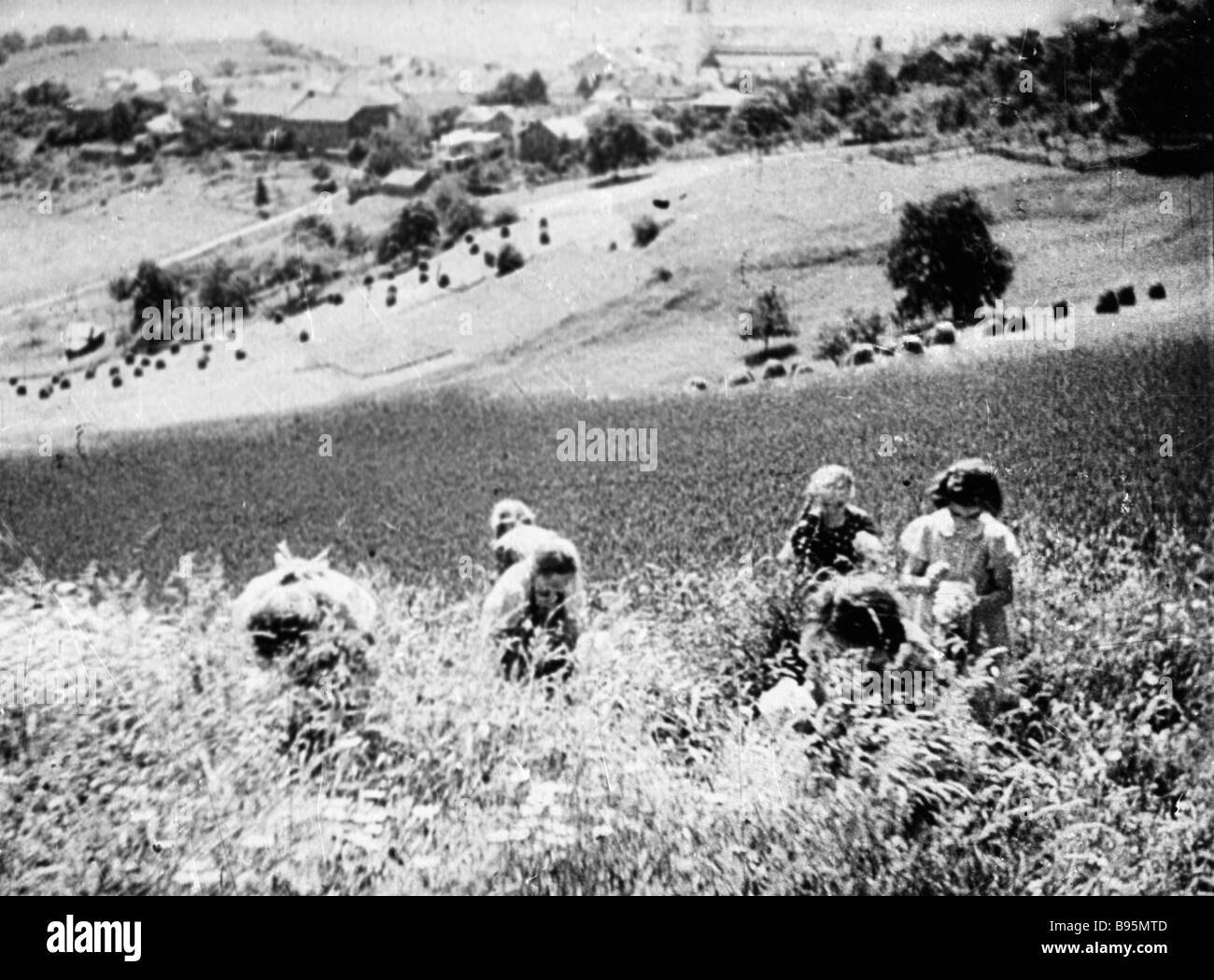 Wartime idyll German village children picking wild flowers Still from a 1943 newsreel Stock