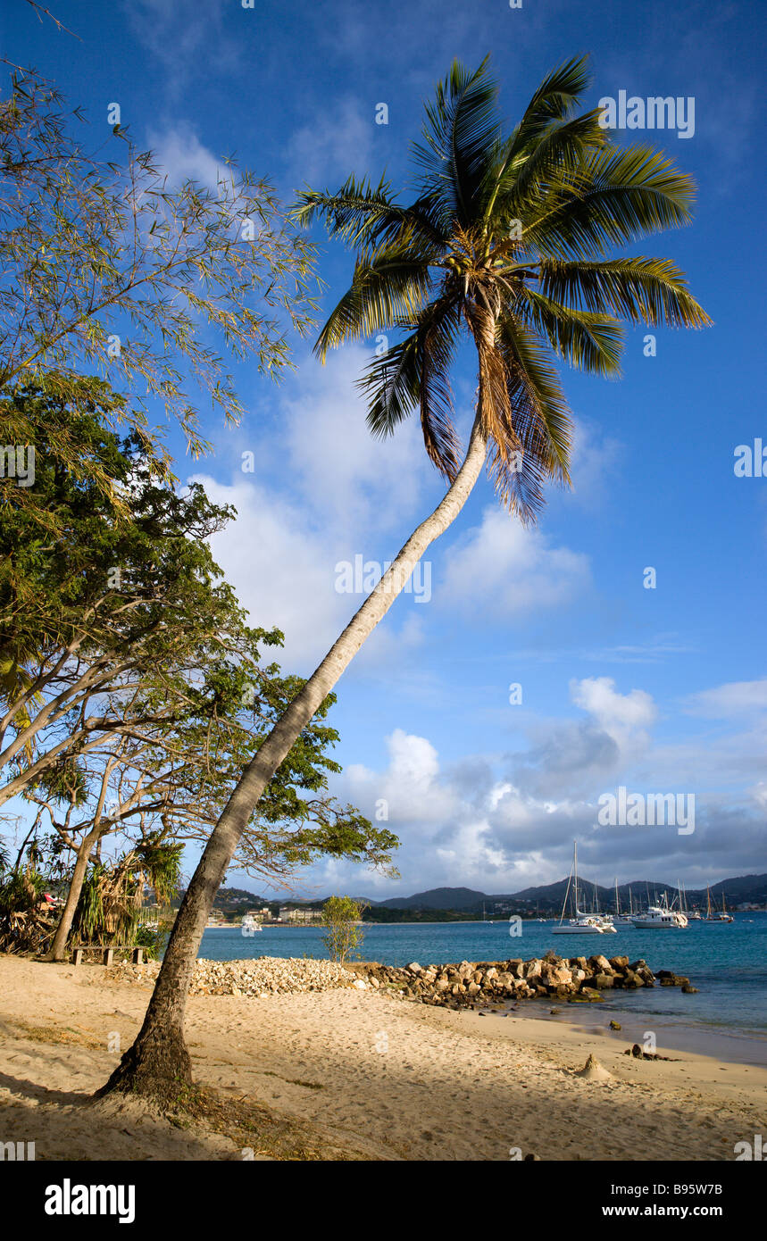 WEST INDIES Caribbean St Lucia Gros Rodney Bay Islet Pigeon Island
