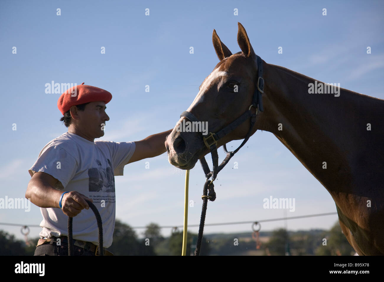 A polo groom with a polo pony, West Sussex, England Stock Photo Alamy