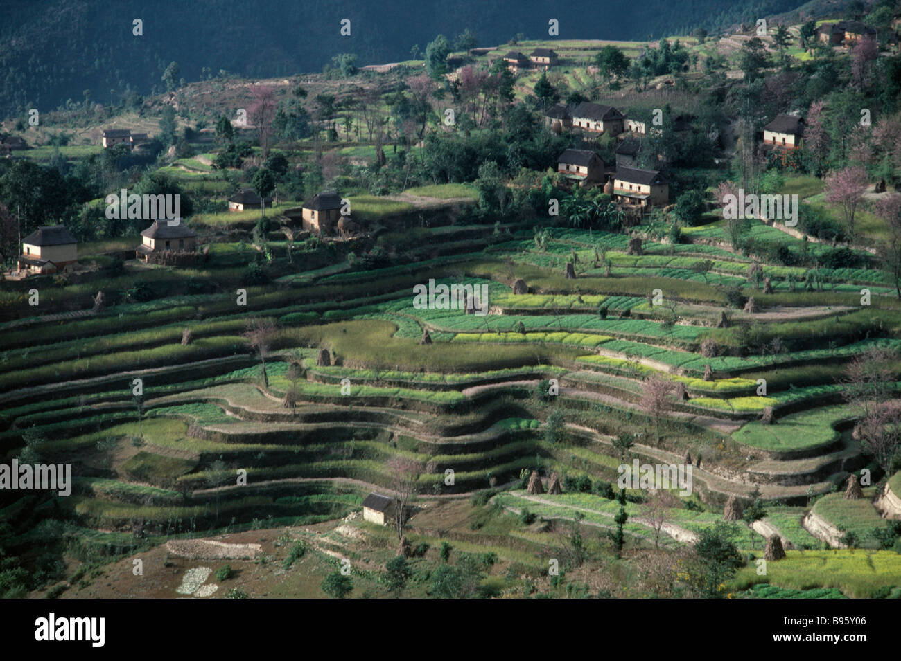 Nepal Rural Valley NEPAL Kathmandu Valley Agriculture Rice terraces and scattered rural ...