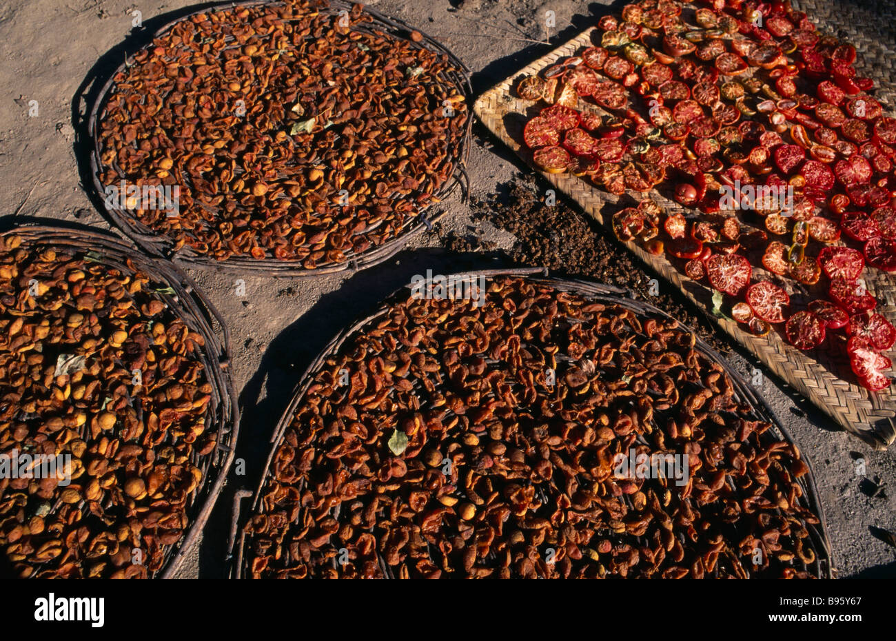 Hunza apricots pakistan hires stock photography and images Alamy