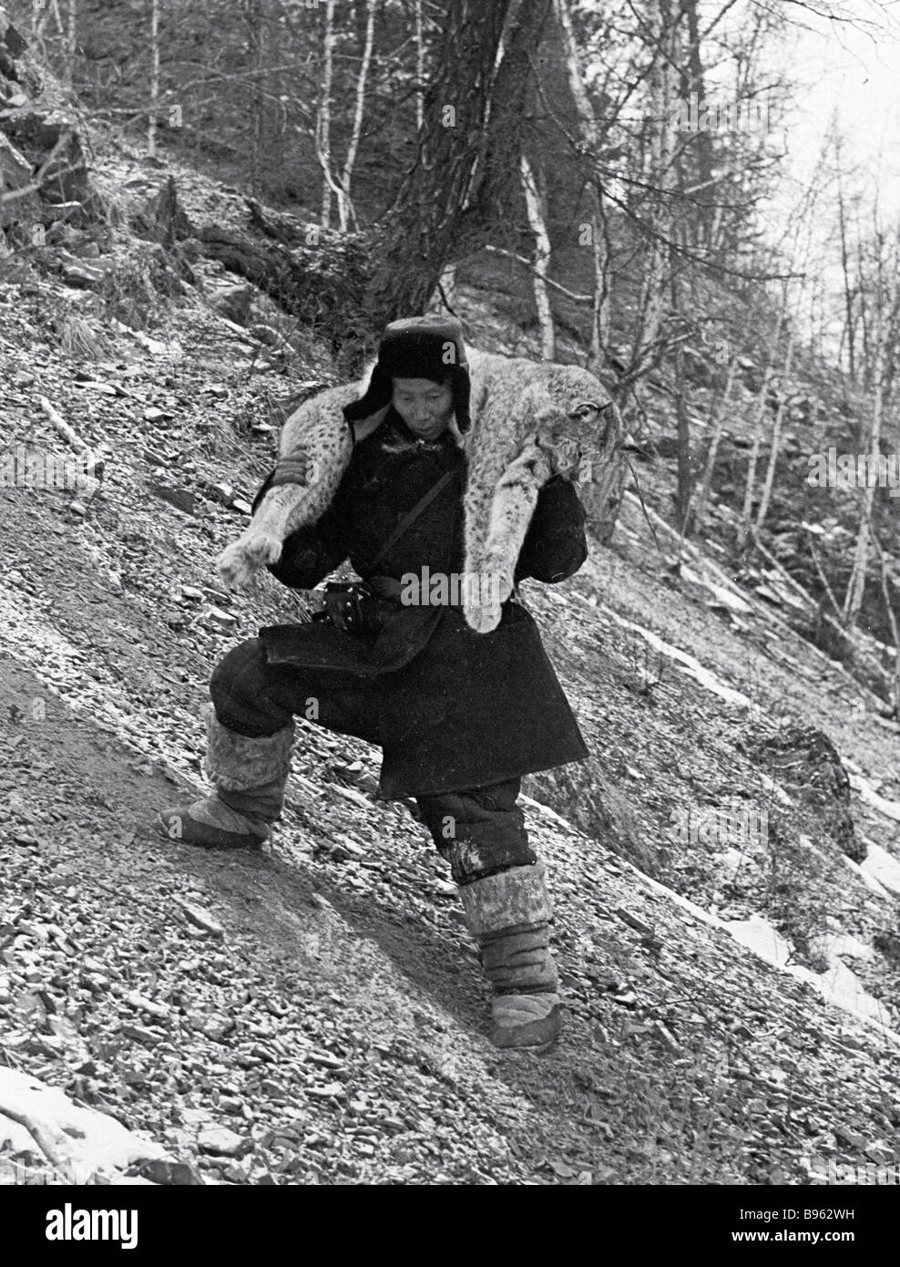 A hunter carrying a lynx killed in the Siberian taiga on his shoulders ...