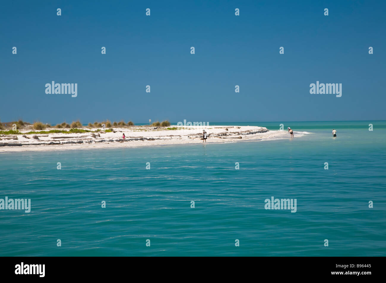 Beach on Egmont Key Stae Park at the entrance to Tampa Bay from the