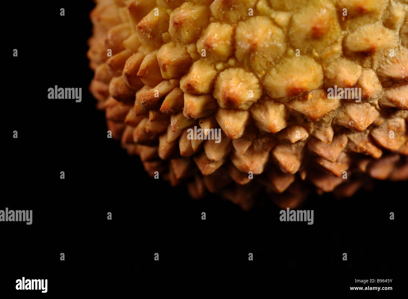 Group of ripe litchi fruits Stock Photo