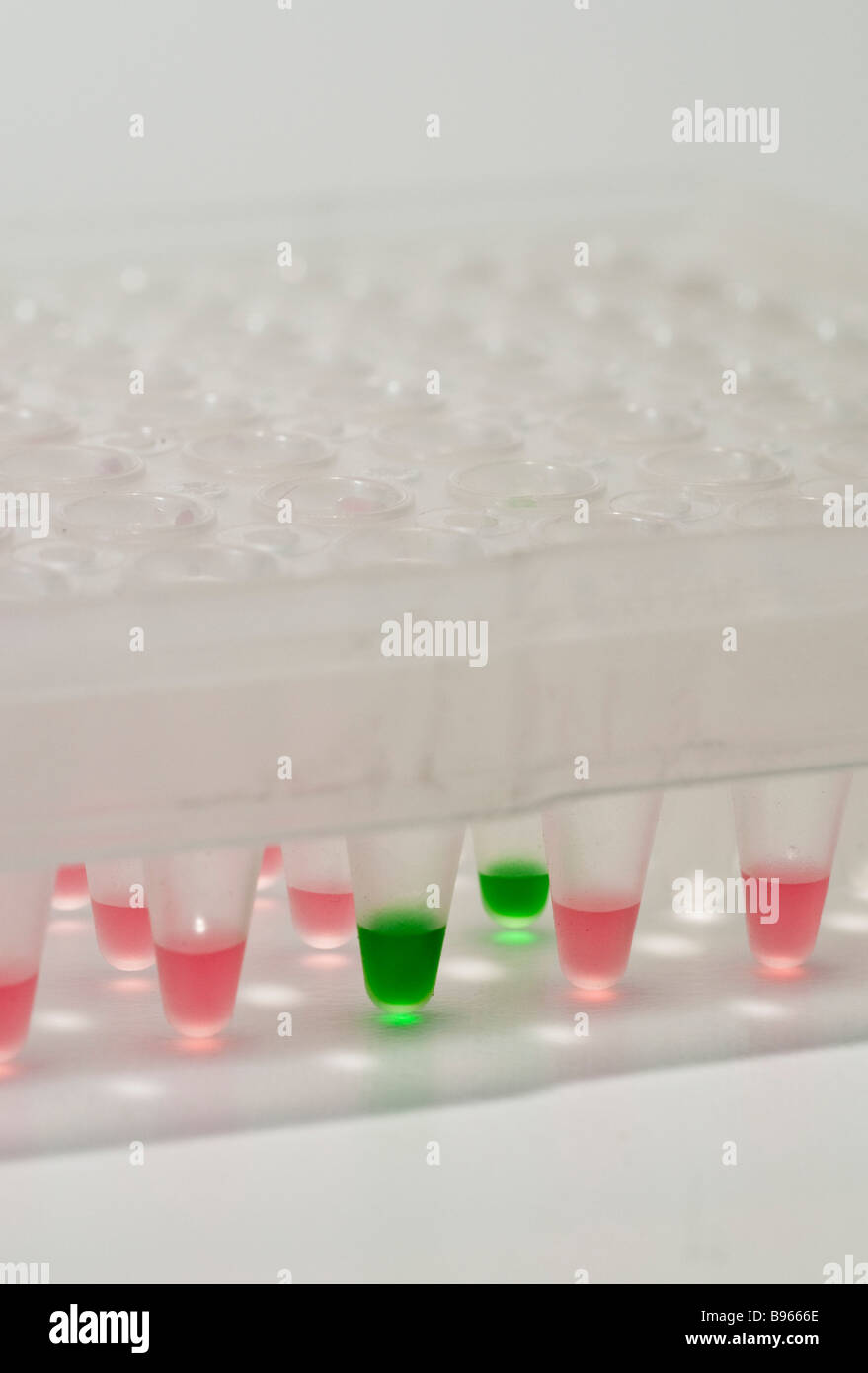 a 96 well plate used in medical and biological research Stock Photo Alamy