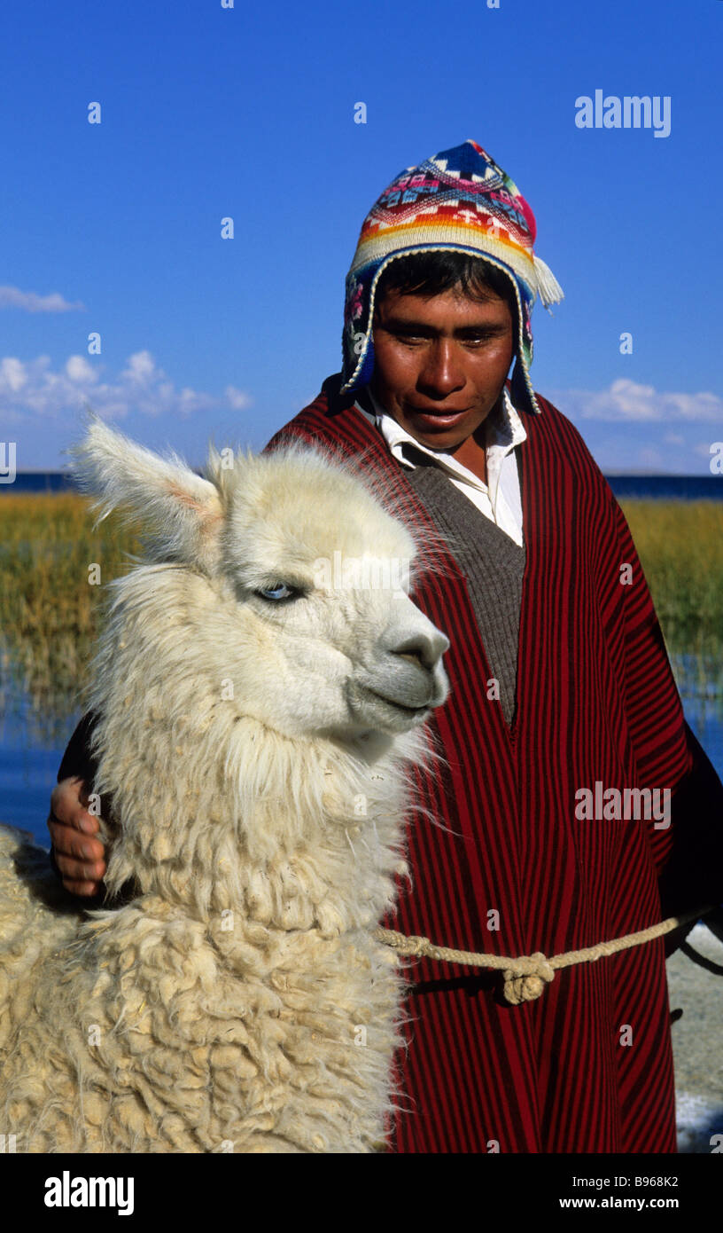 Bolivia, La Paz Department, Titicaca Lake, Bolivian Man with an  alpaca (family of llama) Stock Photo