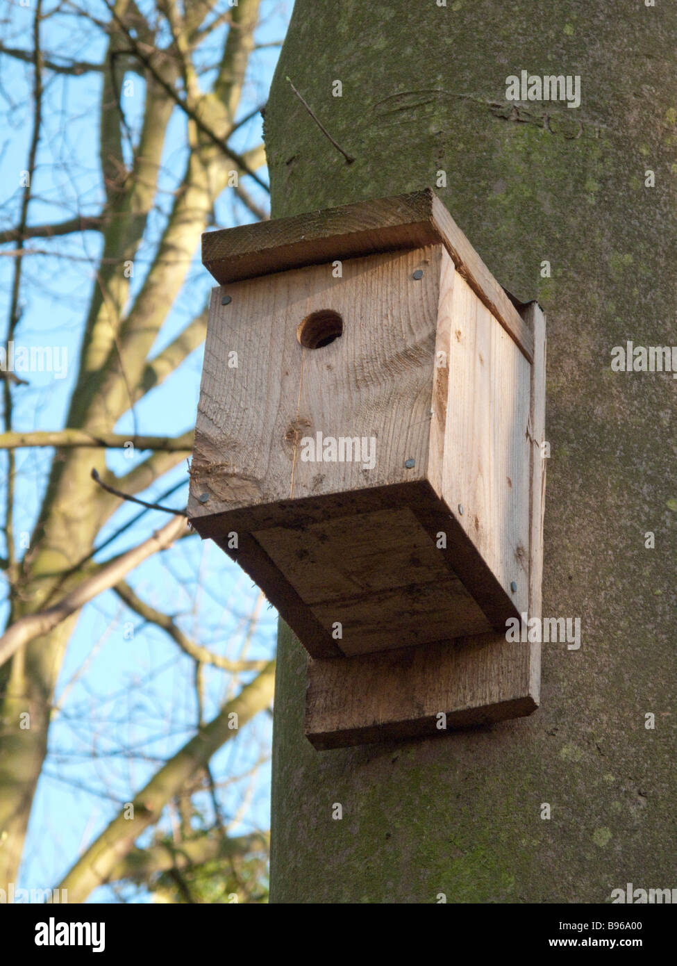 Wildlife World Camera Ready Nest Box 