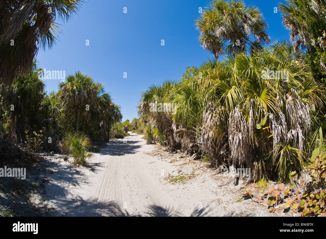 Egmont key tampa bay hires stock photography and images Alamy