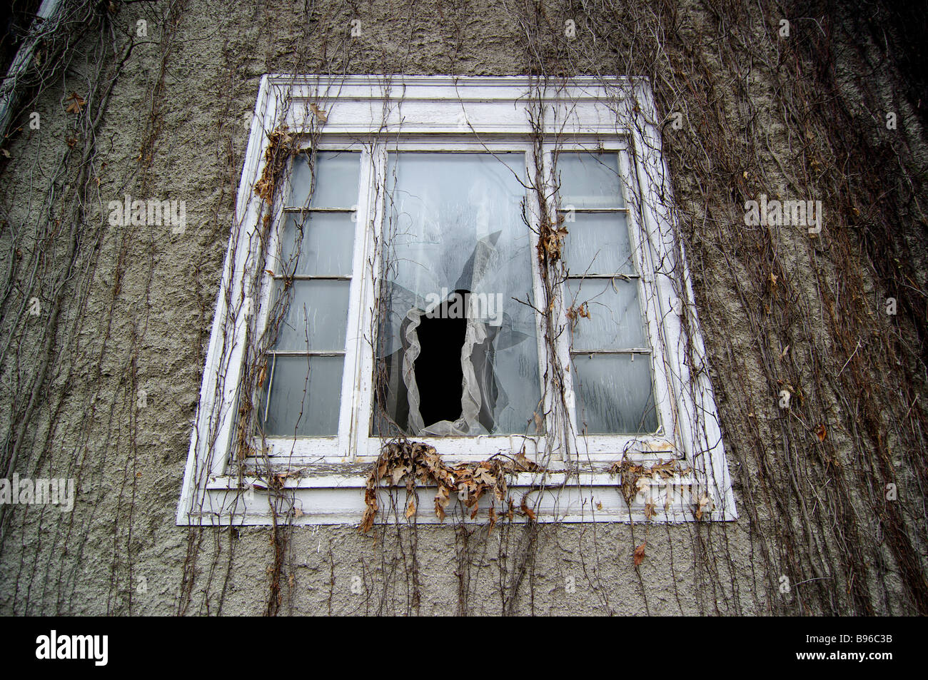 A broken window glass is framed by drapes and vines in an old foreclosed home, as the house waits for a repairman. Stock Photo