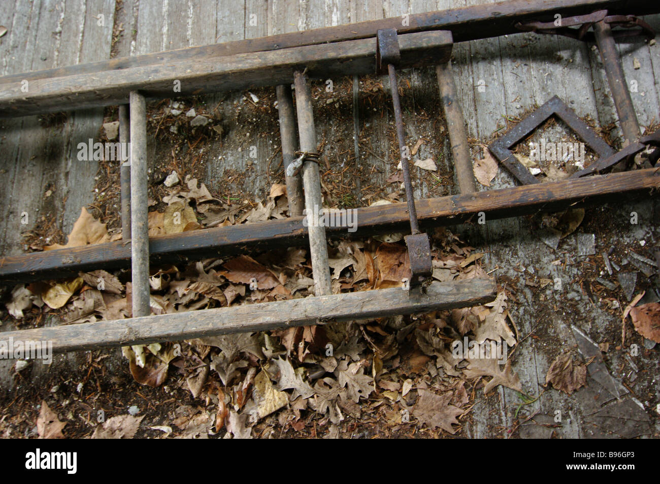 A rusty wooden painting ladder is covered with leaves at an old